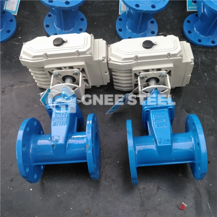 gate valve ci gate valve ci