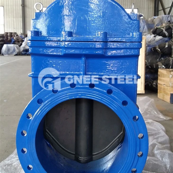 gate valve ci