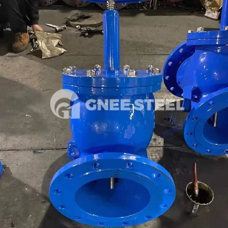 control valve globe type