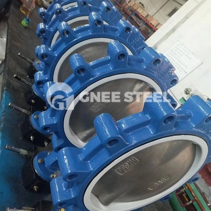 lug type valves