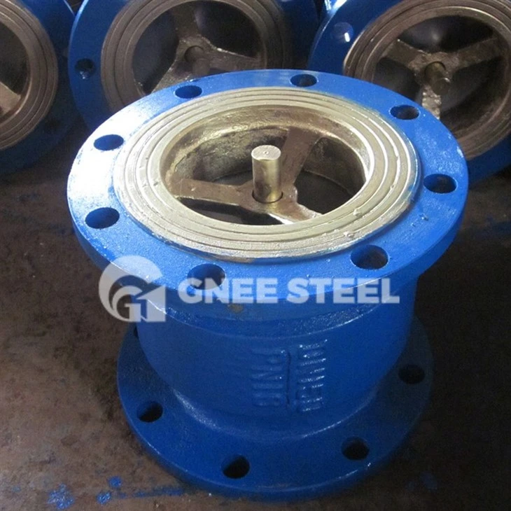 Cast Iron Check Valves
