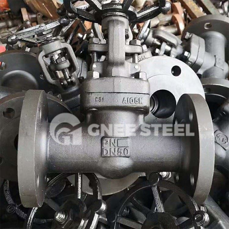 API 602 Forged Steel Gate Valves