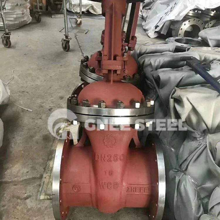 Šoupátko API 602