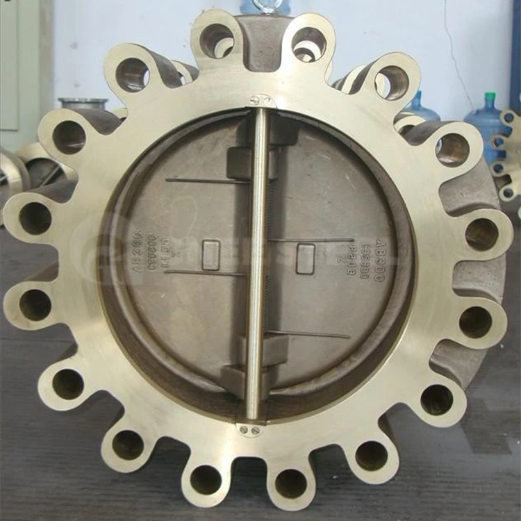Dual Plate Lug Type Check Valve