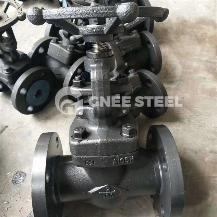 Forged Steel Cryogenic Gate Valve