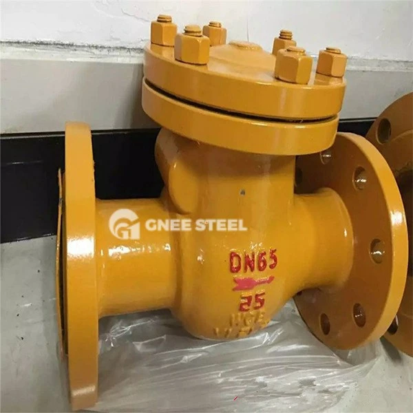 Gas Check Valve