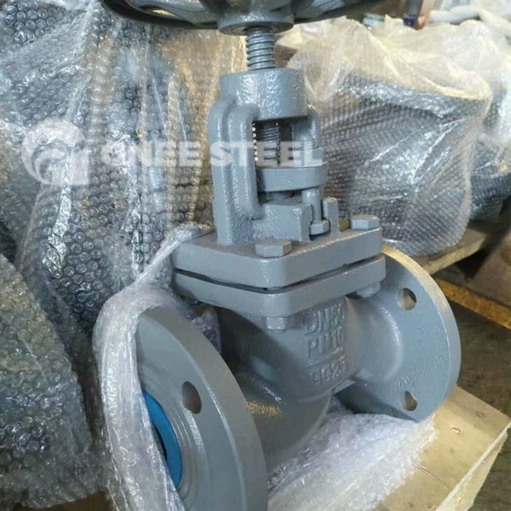 Globe Check Valve
