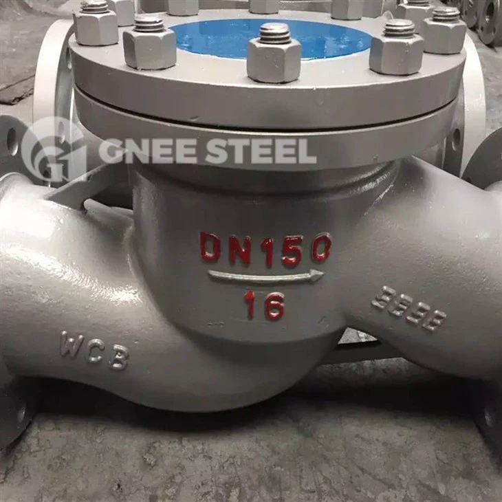 Globe Check Valve