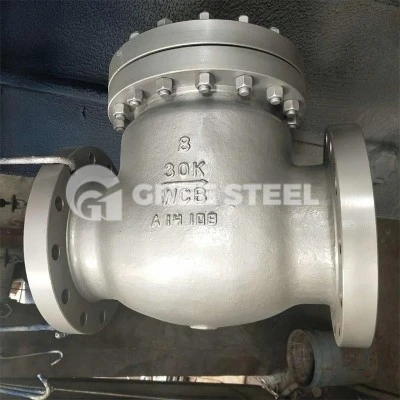 check valve check valve