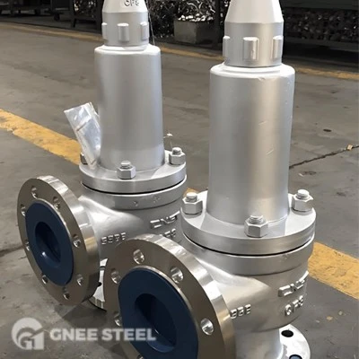 safety valve safety valve