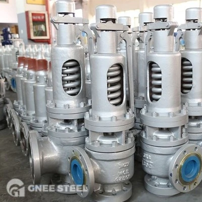 safety valve safety valve