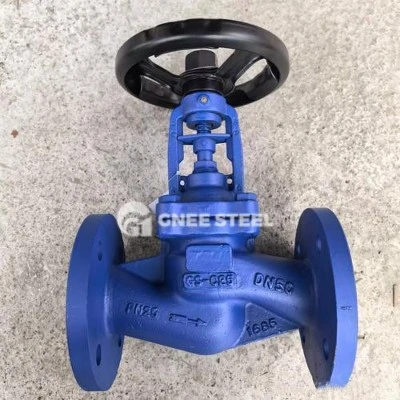 bellow globe valve bellow globe valve