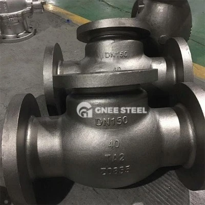 manual check valve manual check valve