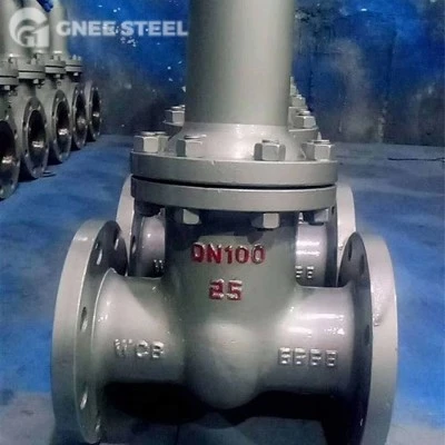 safety valve safety valve
