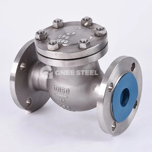 Swing check valve Swing check valve