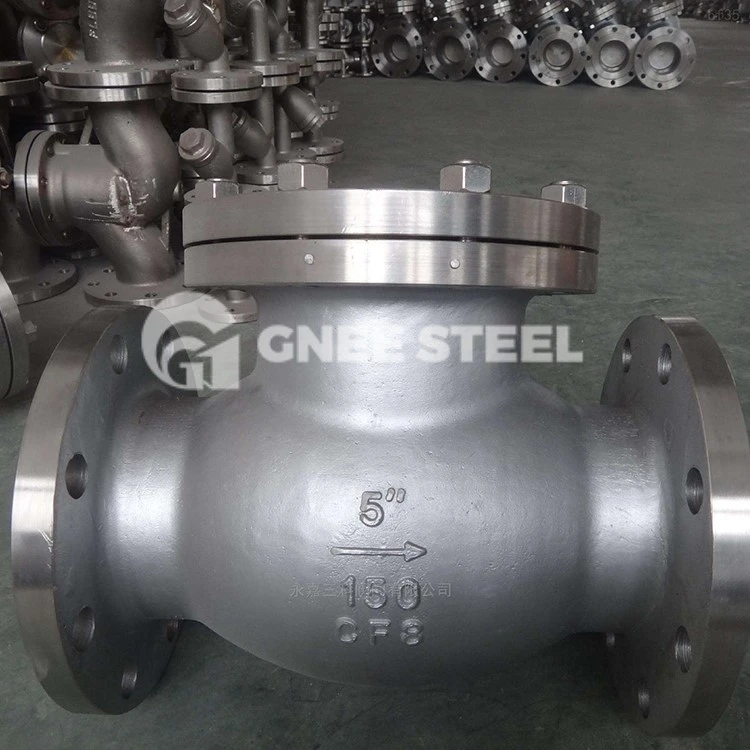 stainless check valves stainless check valves