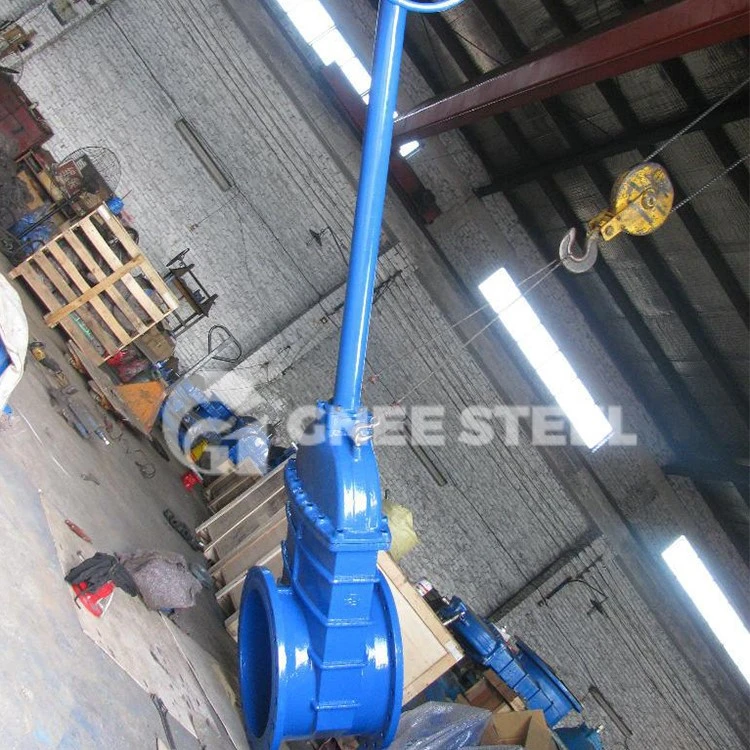 Rising Stem Gate Valve Rising Stem Gate Valve
