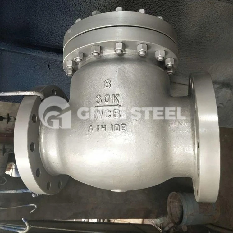 check valve check valve