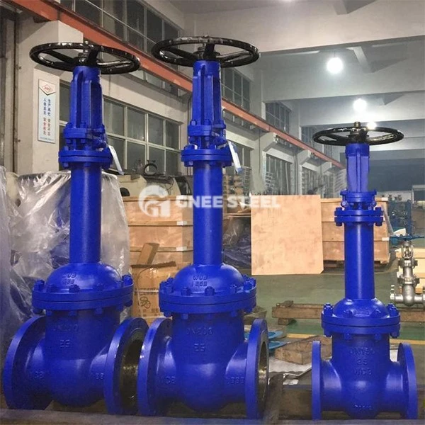 Bellow Seal Globe Valves Bellow Seal Globe Valves