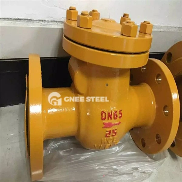 Gas Check Valve Gas Check Valve
