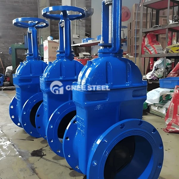 Resilient seated gate valves Resilient seated gate valves