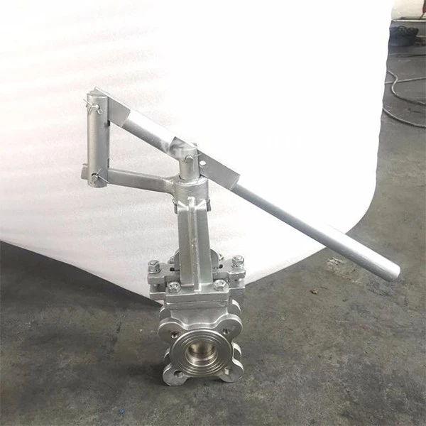 Lever operated gate valve Lever operated gate valve