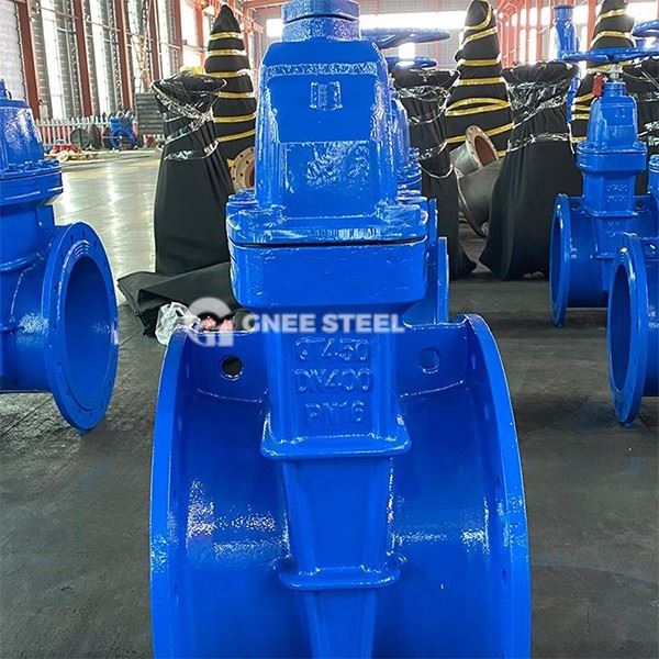 Resilient Seated Gate Valves