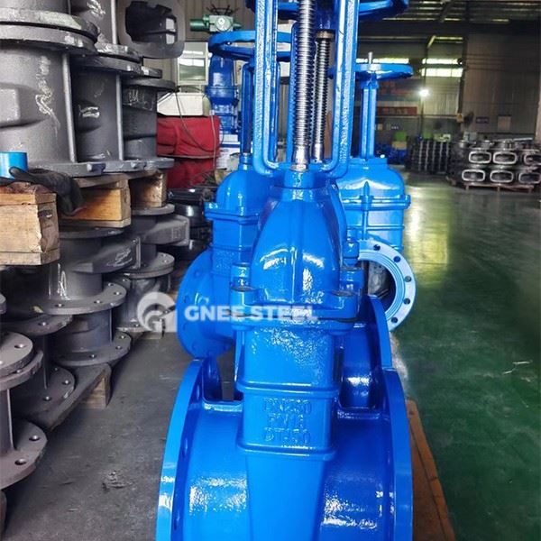 Soft Seal Gate Valve