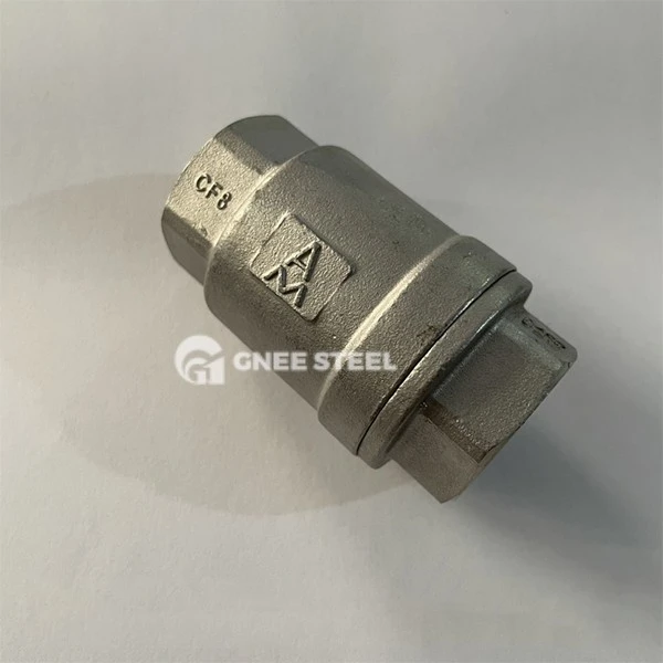 Stainless Steel Spring Check Valve