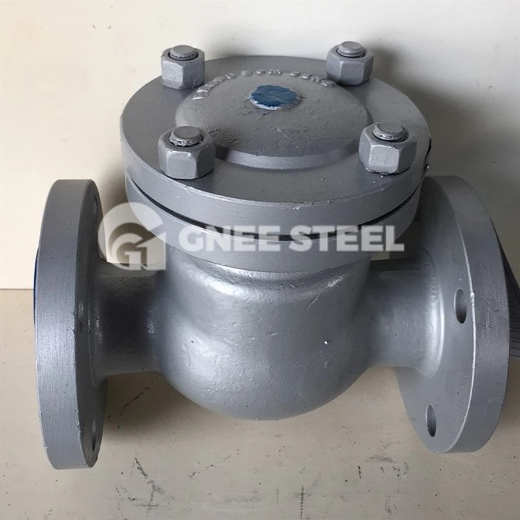 Swing Flex Check Valve