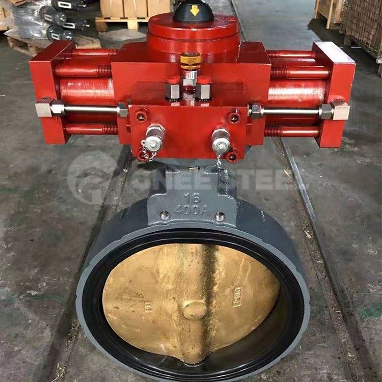 Top Entry Butterfly Valve